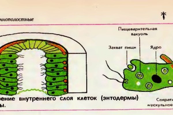 Украли аккаунт кракен