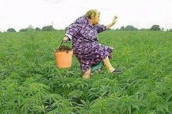 Кракен купить мефедрон